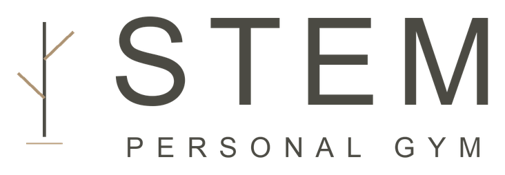 STEM PERSONAL GYM